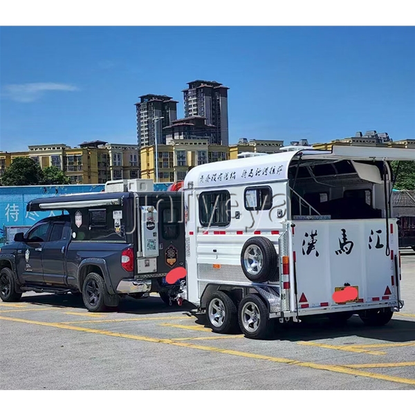 贵州两马位马车