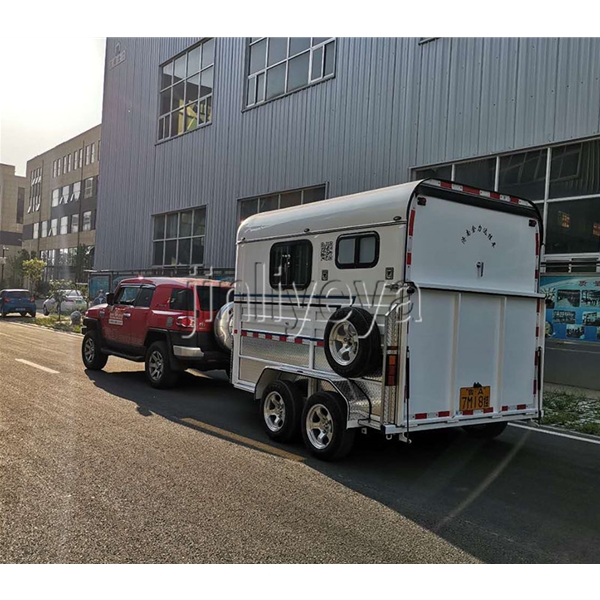 贵州两马方头车